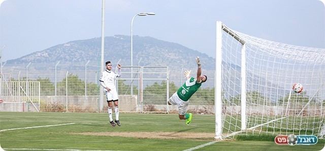 הכדור ברשת (עדי מלול)